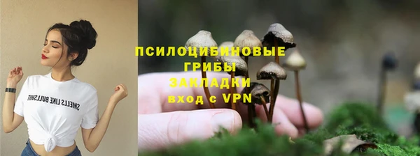 мяу мяу кристалл Костерёво