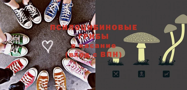СК Коряжма
