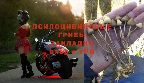 экстази Корсаков