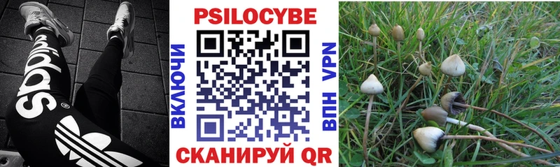 Галлюциногенные грибы прущие грибы  Купить где  Балахна 